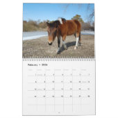 Kalender, Wilde Pferde auf der Insel Assateague Kalender (Feb 2026)