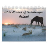 Kalender, Wilde Pferde auf der Insel Assateague Kalender (Titelbild)