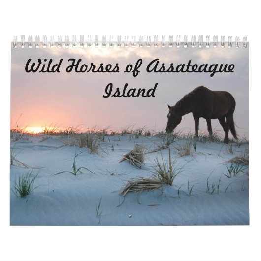Kalender, Wilde Pferde auf der Insel Assateague Kalender (Titelbild)