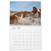 Kalender, Wilde Pferde auf der Insel Assateague Kalender (Jan 2026)
