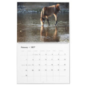 Kalender, wilde Pferde, Salt River, Arizona Kalender (Feb 2027)