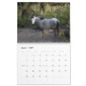 Kalender, wilde Pferde, Salt River, Arizona Kalender (Mär 2027)
