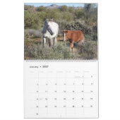 Kalender, wilde Pferde, Salt River, Arizona Kalender (Jan 2027)