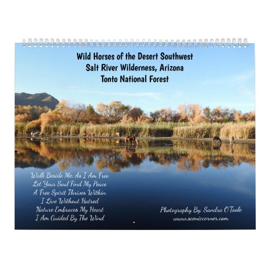 Kalender, wilde Pferde, Salt River, Arizona Kalender (Titelbild)