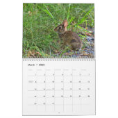 Kalender wilder Kaninchen (Mär 2026)