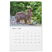 Kalender wilder Kaninchen (Feb 2026)