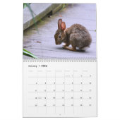 Kalender wilder Kaninchen (Jan 2026)