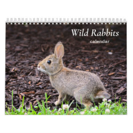 Kalender wilder Kaninchen