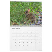 Kalender wilder Kaninchen (Mär 2027)