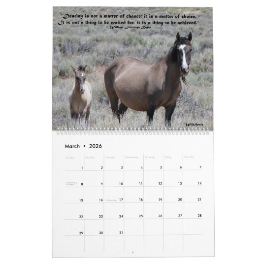 Kalender Wildpferde im Sandwaschbecken (Mär 2026)