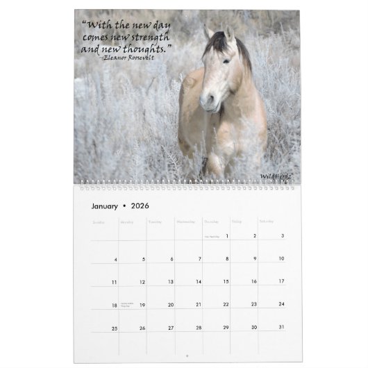 Kalender Wildpferde im Sandwaschbecken (Jan 2026)