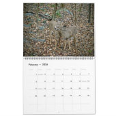 Kalender - Wo die wilden Dinge leben (Feb 2026)