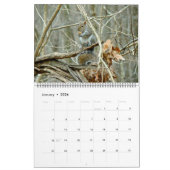 Kalender - Wo die wilden Dinge leben (Jan 2026)