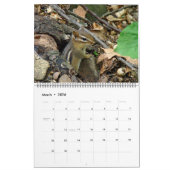 Kalender - Wo die wilden Dinge leben (Mär 2026)