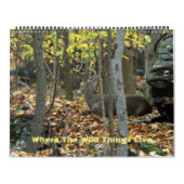 Kalender - Wo die wilden Dinge leben (Titelbild)