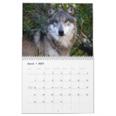 Kalender - Wölfe - 2014 (Mär 2027)