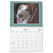 Kalender Wolljackecorgi-2015 (Mär 2027)