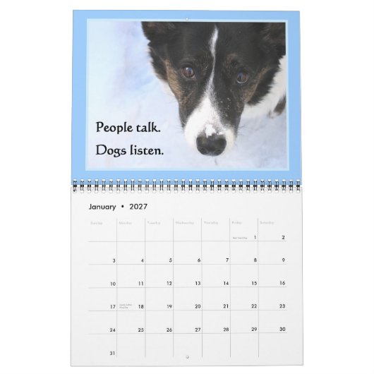 Kalender Wolljackecorgi-2015 (Jan 2027)