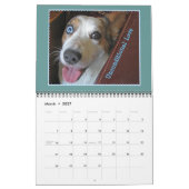 Kalender Wolljackecorgi-2015 (Mär 2027)