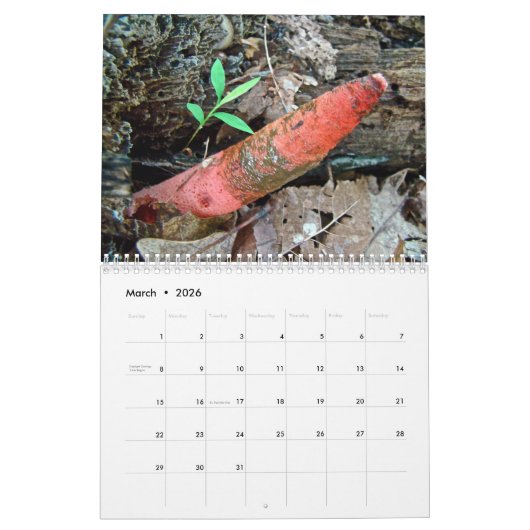 Kalender - Wunderschöne Pilze (Mär 2026)