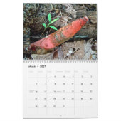 Kalender - Wunderschöne Pilze (Mär 2027)