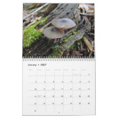 Kalender - Wunderschöne Pilze (Jan 2027)
