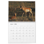 Kalender Yellowstone 2010 (Mär 2026)