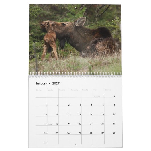 Kalender Yellowstone 2010 (Jan 2027)