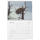 Kalender Yellowstone-Tier-2008 (Feb 2027)