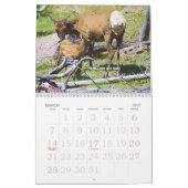 Kalender Yellowstone-Tier-2008 (Mär 2027)