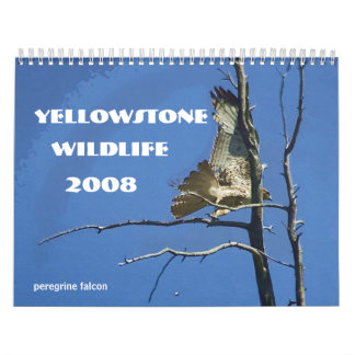Kalender Yellowstone-Tier-2008