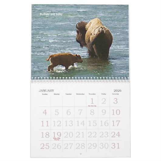 Kalender Yellowstone-Tier-2008 (Jan 2026)