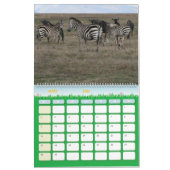 Kalender-Zebra Kalender (Mär 2026)