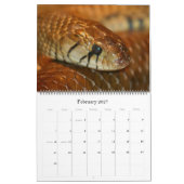 Kalender Zoo-Atlantas 2012 (Feb 2027)