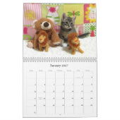 Kalender zur Rettung der Katze - Ausgabe 6 (Jan 2027)