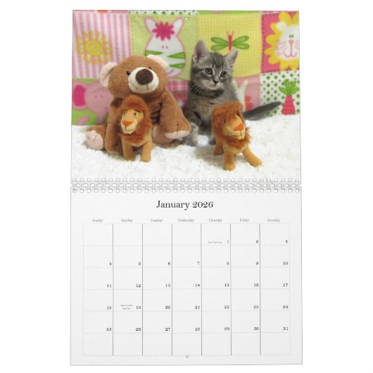 Kalender zur Rettung der Katze - Ausgabe 6 (Jan 2026)