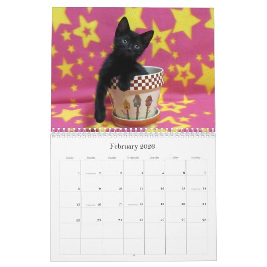Kalender zur Rettung der Katze - Ausgabe 6 (Feb 2026)