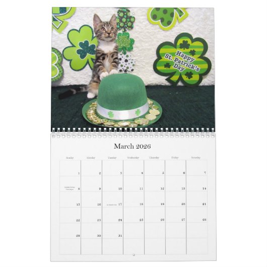 Kalender zur Rettung der Katze - Ausgabe 6 (Mär 2026)
