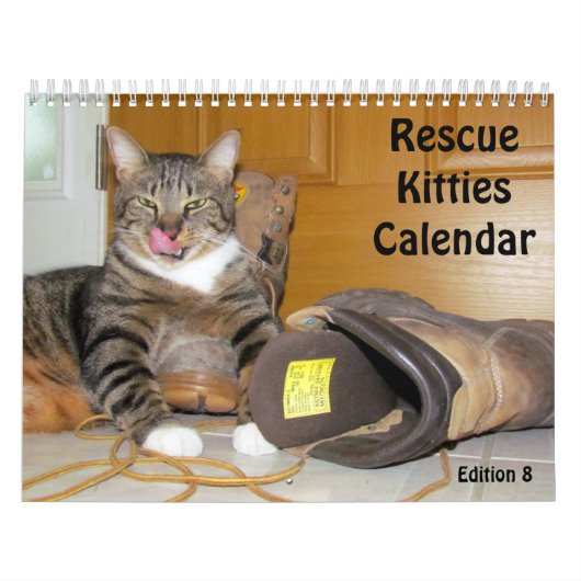 Kalender zur Rettung der Katze - Ausgabe 8 (Titelbild)