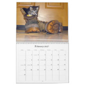 Kalender zur Rettung der Katze - Ausgabe 8 (Feb 2027)