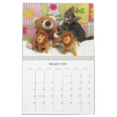Kalender zur Rettung der Katze - Ausgabe 8 (Jan 2026)