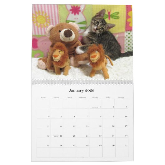 Kalender zur Rettung der Katze - Ausgabe 8 (Jan 2026)