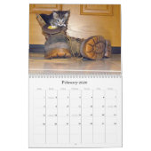 Kalender zur Rettung der Katze - Ausgabe 8 (Feb 2026)