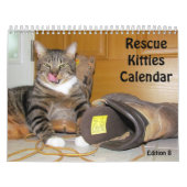 Kalender zur Rettung der Katze - Ausgabe 8 (Titelbild)