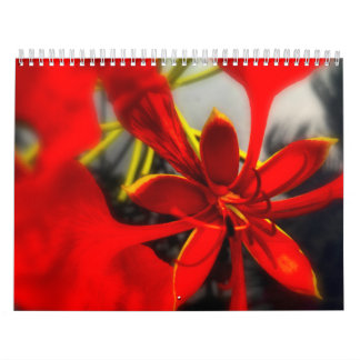 Kalenderblumen Kalender