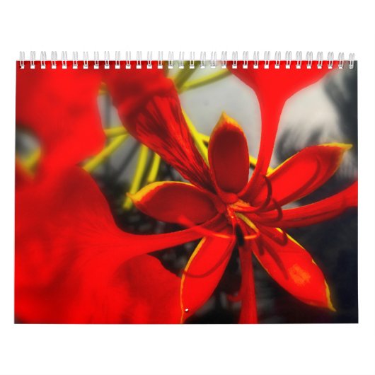 Kalenderblumen Kalender (Titelbild)