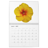 Kalenderblumen Kalender (Mär 2027)