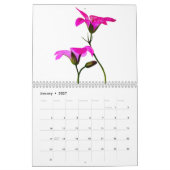 Kalenderblumen Kalender (Jan 2027)