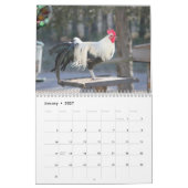Kalenderjahr Kalender (Jan 2027)