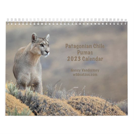 Kalenderpumpen 2023 des Chilen Kalender (Titelbild)